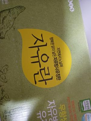 사진후기 대표 이미지