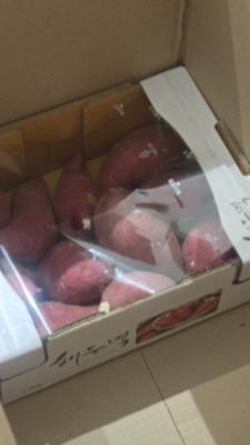 사진후기 대표 이미지