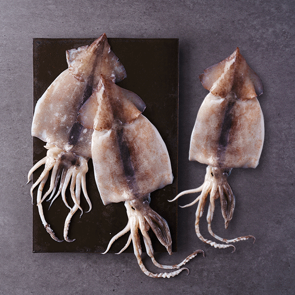 손질오징어 (3미, 450g) 상품이미지