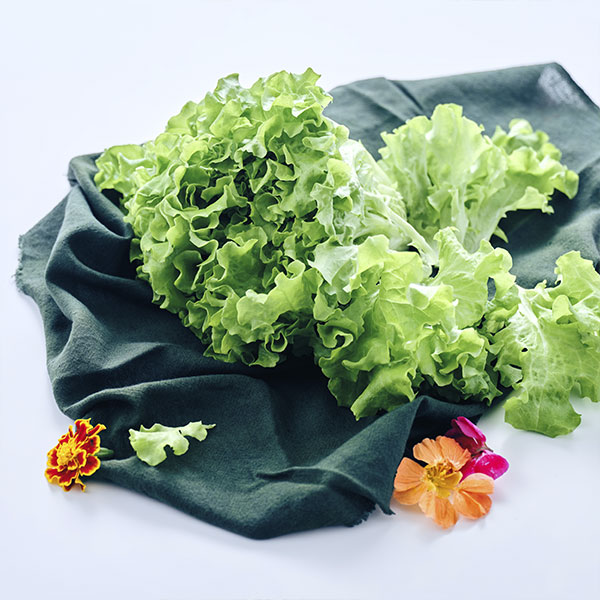 [행사]무농약 이자벨(120g 내외) 대표이미지 섬네일