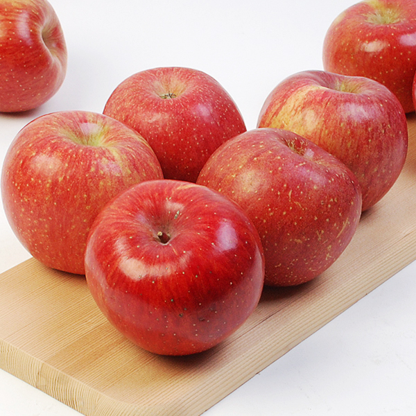 [특가]마음담은 사과 3kg(18~23과_흠집) 외 8종 대표이미지 섬네일
