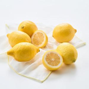 [금주의특가]미국산 점보 레몬(6입/900g내외) 대표이미지 섬네일